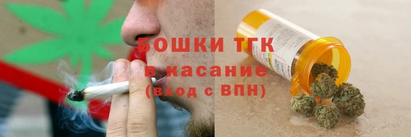 сатива Горнозаводск