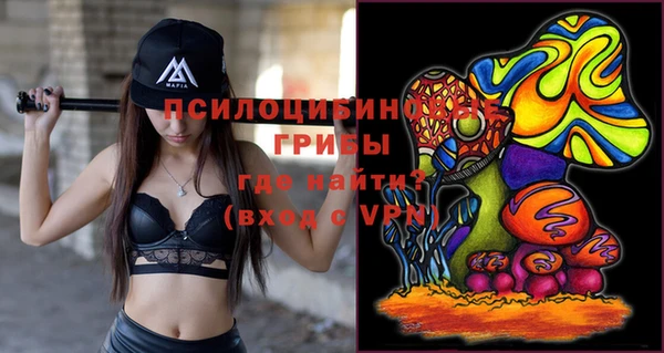 соль курить ск Горно-Алтайск