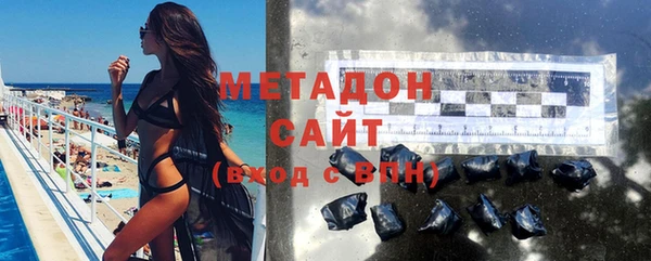 индика Дмитриев