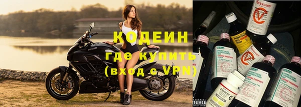 сатива Горнозаводск