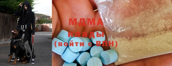 индика Дмитриев