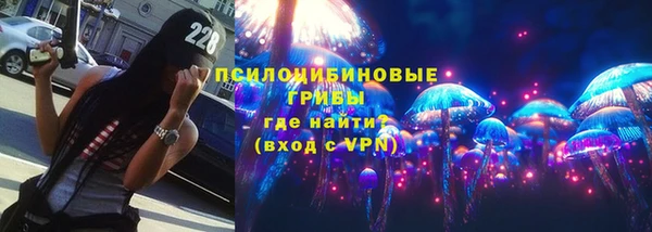 сатива Горнозаводск