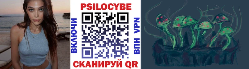 Псилоцибиновые грибы GOLDEN TEACHER Междуреченск